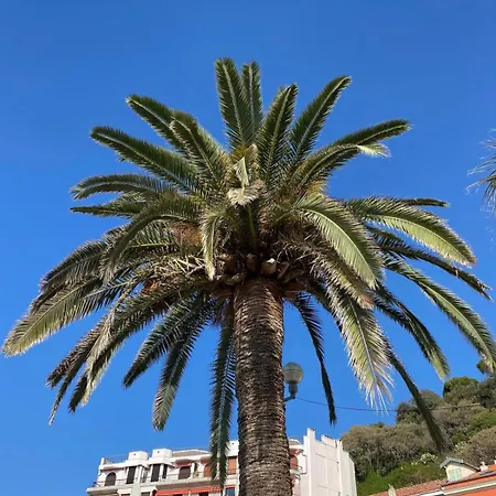 Le Riviera Collection, Signature Collection By Western Nice